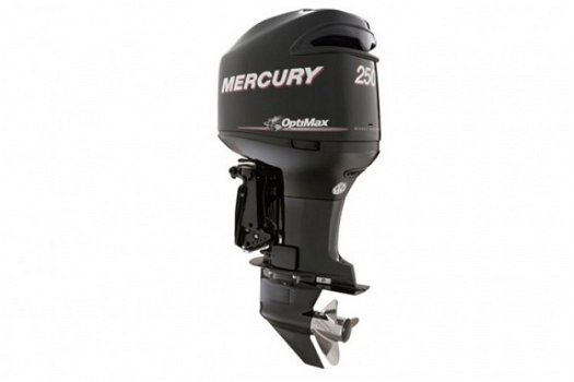 Mercury OptiMax 250 - 1