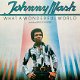 Johnny Nash ‎– What A Wonderful World 1977-Funk / Soul, Pop-vinyl LP-MINT/review copy/never played - 1 - Thumbnail