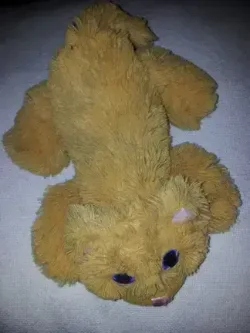 * 356 Poes liggend HEMA Wit Oranje 17cm