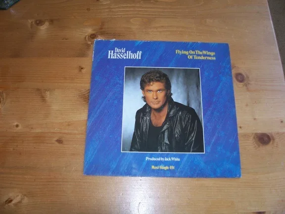 DAVID HASSELHOFF FLYING ON THE WINGS OF TENDERNESS - nr. 1
