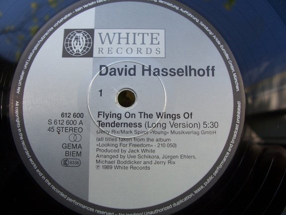 David Hasselhoff Flying On The Wings Of Tenderness Doos 3