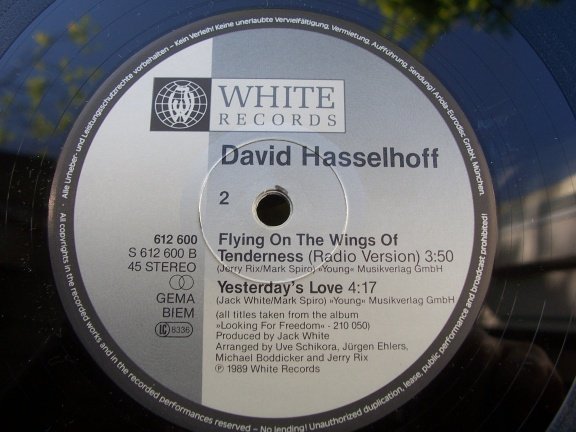 DAVID HASSELHOFF FLYING ON THE WINGS OF TENDERNESS - Afbeelding 3