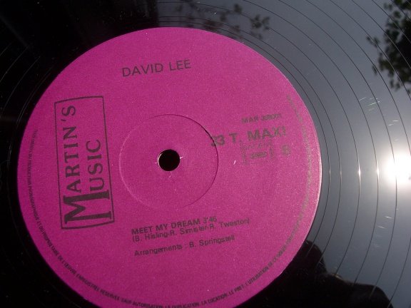 DAVID LEE CALL MY NAME - Afbeelding 3