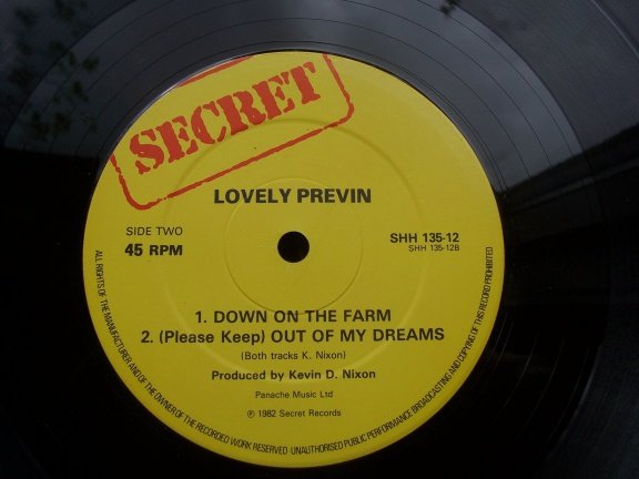 LOVELY PREVIN THE WASTED LOVE - Afbeelding 3