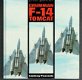 Grumman F-14 tomcat by Lindsay Peacock (militair, vliegtuigen) - 1 - Thumbnail