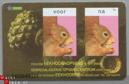 Nederland Das Eekhoorn etc. gebruikt - 1