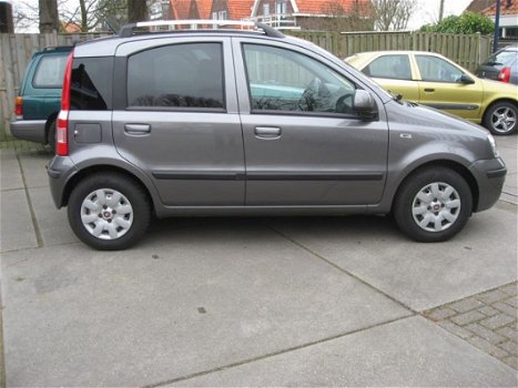 Fiat Panda - 1.2 Edizione Cool - 1