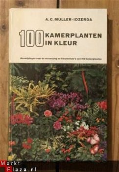 A.C. Muller-Idzerda - 100 kamerplanten in kleur - 1
