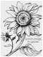 GROTE Houten stempel Sunflower van PSX - 1 - Thumbnail