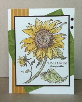 GROTEHouten stempel Sunflower van PSX. - 2