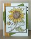 GROTEHouten stempel Sunflower van PSX. - 2 - Thumbnail