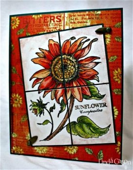 GROTEHouten stempel Sunflower van PSX. - 3