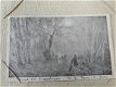 Prachtige Antieke foto album omstreeks 1910/ 1920 - 5 - Thumbnail