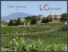 Provence - Omgeving Mont Ventoux - Gezellig vakantiehuis met prachtig uitzicht over de wijngaarden