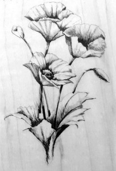 GROTE Houten stempel Poppies Flowers van Inkadinkado. - 1