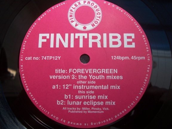 FINITRIBE FOREVERGREEN DOOS 3 - Afbeelding 2