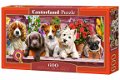 Castorland - Puppies on a Shelf - 600 Stukjes Nieuw - 2 - Thumbnail