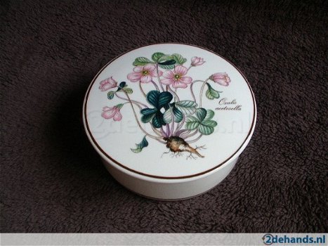 Villeroy en Boch, Botanica boch. - 3