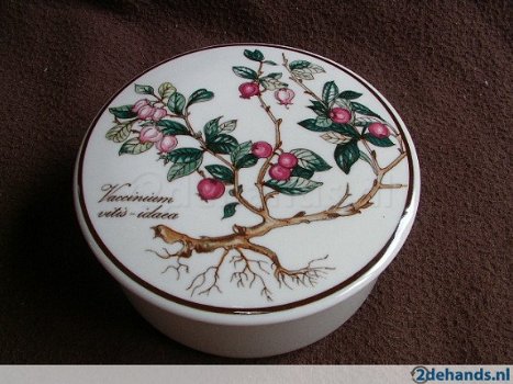 Villeroy en Boch, Botanica boch. - 4