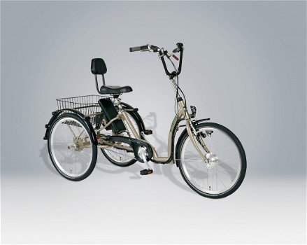 Volwassen Driewieler - Pfau-Tec Pfiff Comfort Ansmann e-bike - 1