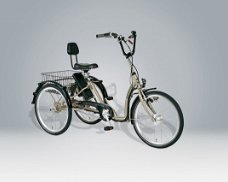 Volwassen Driewieler - Pfau-Tec Pfiff Comfort Ansmann e-bike