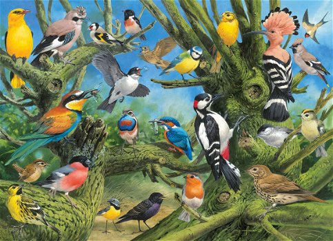 Eurographics - Garden Birds - 1000 Stukjes Nieuw - 1