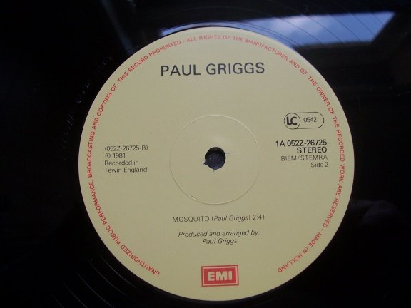PAUL GRIGGS GUITAR COLLECTION DOOS 3 - Afbeelding 3