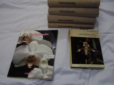 Collectie orchideeën (doos 12)