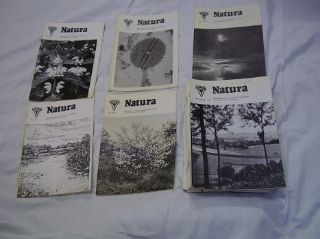 Collectie Natura (doos 21) - 2
