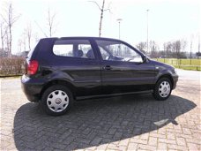 Volkswagen Polo - 1.4