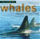 The Sound Of Whales (CD) - 1 - Thumbnail