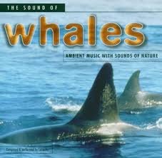The Sound Of Whales  (CD)