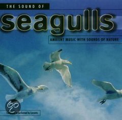 The Sounds Of Seagulls (CD) - 1