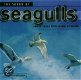 The Sounds Of Seagulls (CD) - 1 - Thumbnail