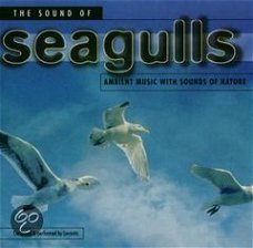 The Sounds Of Seagulls  (CD)