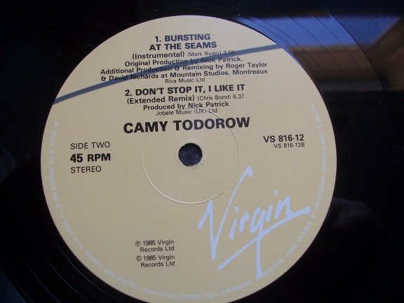 CAMY TODOROW BURSTING AT THE SEAMS 2X DOOS 3 - Afbeelding 2