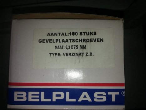 gevelplaatschroeven 6,3x75 mm gegalvaniseerd - 2