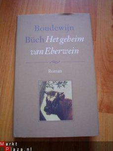 Het geheim van Eberwein door Boudewijn Büch