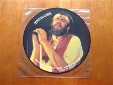 Vinyl Marillion - Interview picture disk