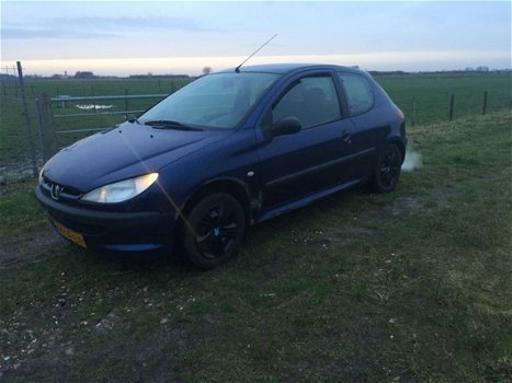 Peugeot 206 - 1.4 HDI XN recente apk - 1