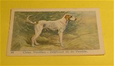 Plaatje" N.v Geels & Co." serie Honden.nr.68