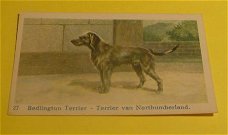 Plaatje" N.v Geels & Co." serie Honden.nr.27