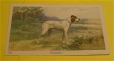 Plaatje" N.v Geels & Co." serie Honden.nr.52.
