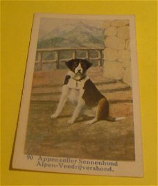 Plaatje" N.v Geels & Co." serie Honden.nr.90.