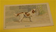 Plaatje" N.v Geels & Co." serie Honden.nr.61.