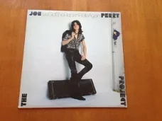 Vinyl The project Joe Perry - L've got the Rock'n' Rolls Again