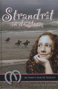 Jeanette Molema - De Pony's van de Pegasus 6 - Strandrit in de Storm  (Hardcover/Gebonden)