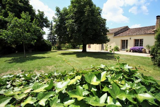 Bed & Breakfast Saint-Emilion, regio Bordeaux Frankrijk. In hartje wijngaarden. - 3