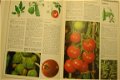 Groenten en kruiden van eigen grond - 2 - Thumbnail