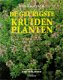 De geurigste kruidenplanten - 0 - Thumbnail